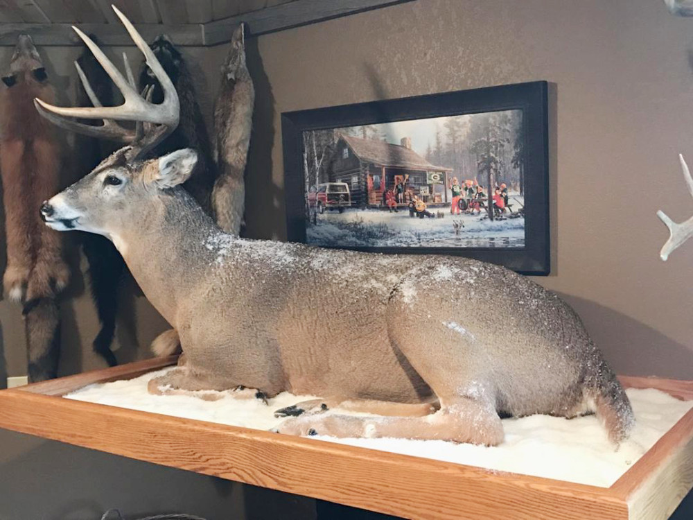 image showing deer mount