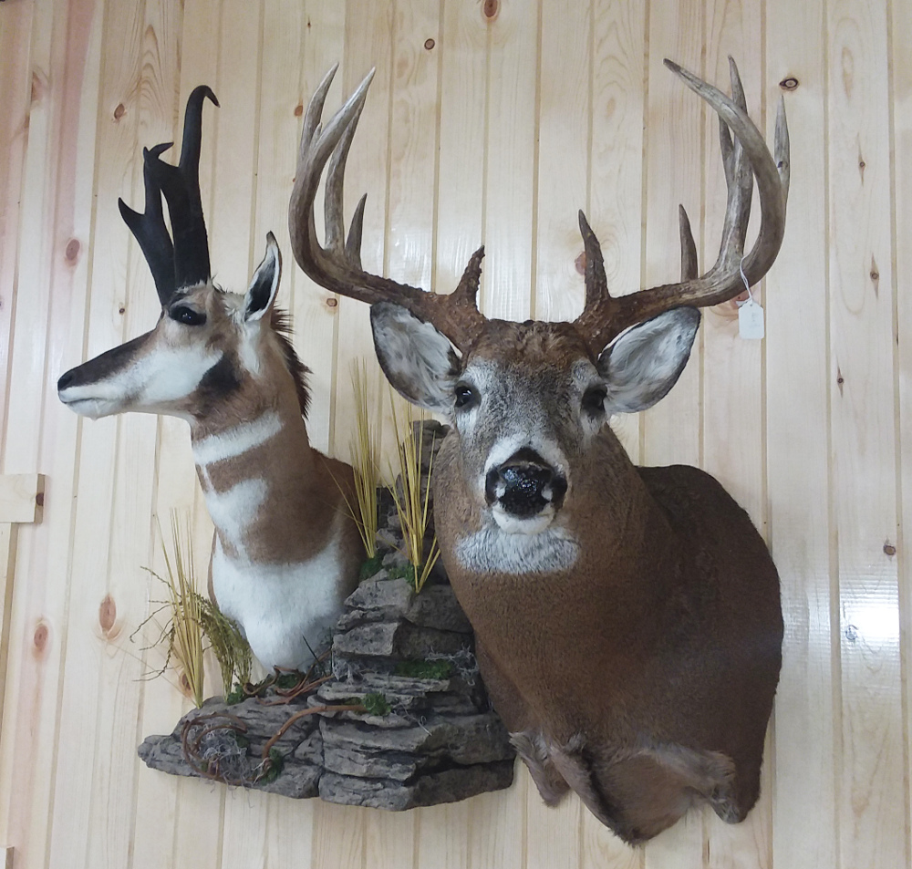 image showing deer mount