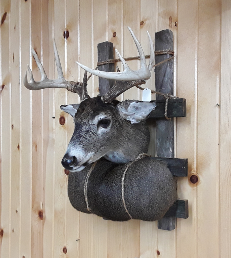 image showing deer mount